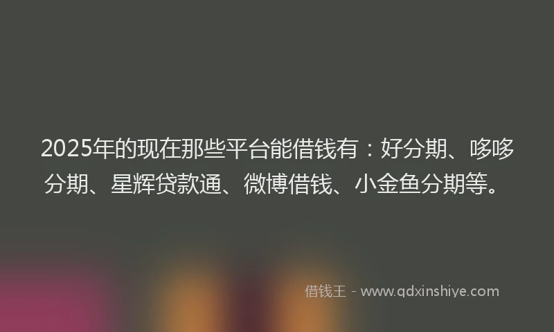 2025年的现在那些平台能借钱有：好分期、哆哆分期、星辉贷款通、微博借钱、小金鱼分期等。