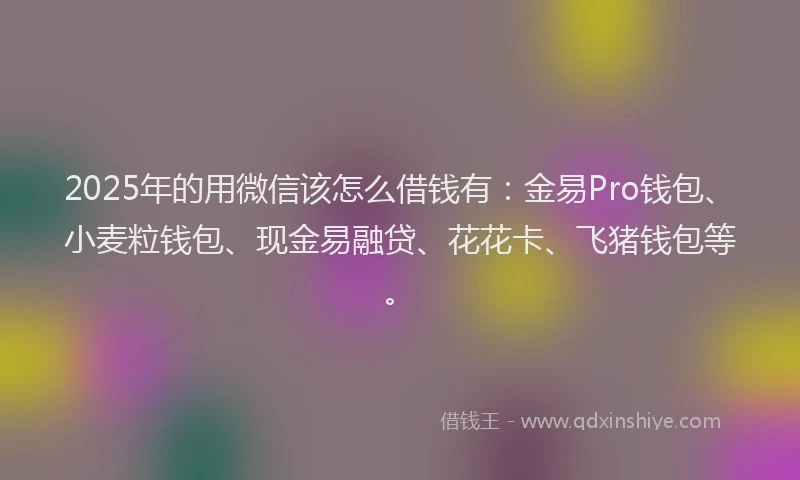 2025年的用微信该怎么借钱有：金易Pro钱包、小麦粒钱包、现金易融贷、花花卡、飞猪钱包等。