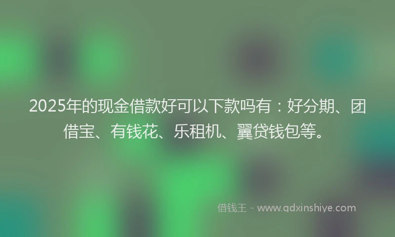 2025年的现金借款好可以下款吗有：好分期、团借宝、有钱花、乐租机、翼贷钱包等。