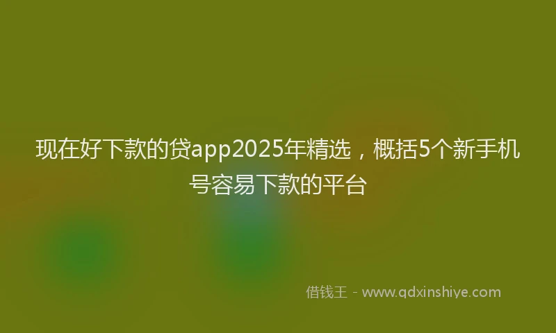 现在好下款的贷app2025年精选，概括5个新手机号容易下款的平台