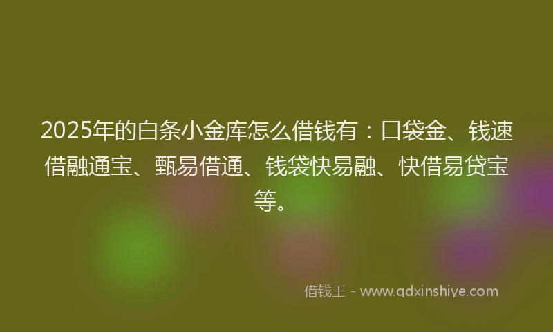2025年的白条小金库怎么借钱有：口袋金、钱速借融通宝、甄易借通、钱袋快易融、快借易贷宝等。