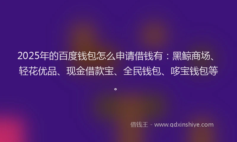 2025年的百度钱包怎么申请借钱有：黑鲸商场、轻花优品、现金借款宝、全民钱包、哆宝钱包等。
