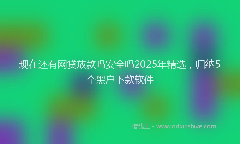 现在还有网贷放款吗安全吗2025年精选，归纳5个黑户下款软件
