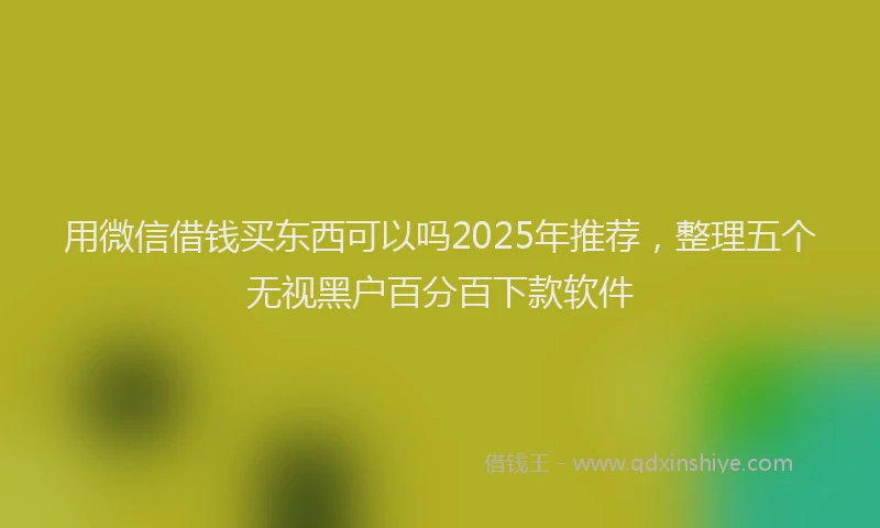 用微信借钱买东西可以吗2025年推荐，整理五个无视黑户百分百下款软件