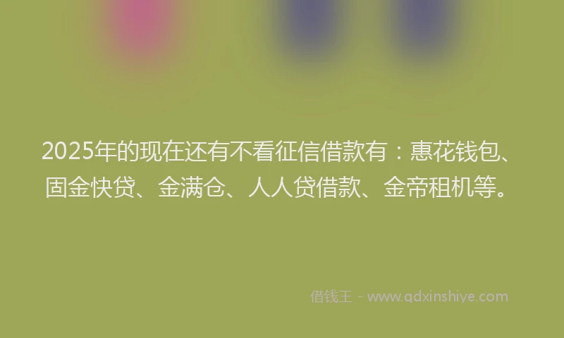 2025年的现在还有不看征信借款有：惠花钱包、固金快贷、金满仓、人人贷借款、金帝租机等。