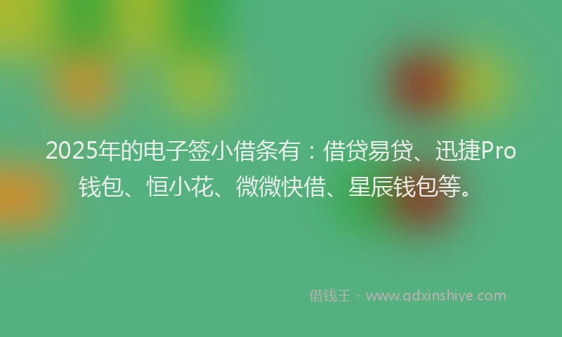 2025年的电子签小借条有：借贷易贷、迅捷Pro钱包、恒小花、微微快借、星辰钱包等。