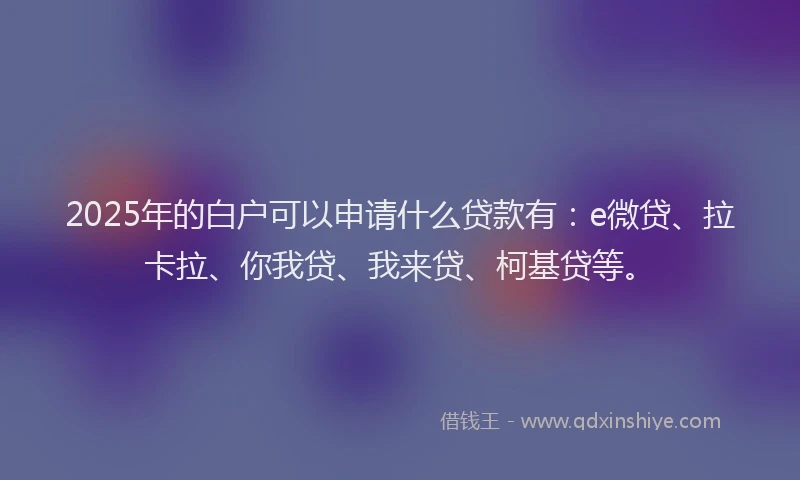 2025年的白户可以申请什么贷款有：e微贷、拉卡拉、你我贷、我来贷、柯基贷等。