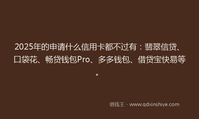 2025年的申请什么信用卡都不过有：翡翠信贷、口袋花、畅贷钱包Pro、多多钱包、借贷宝快易等。
