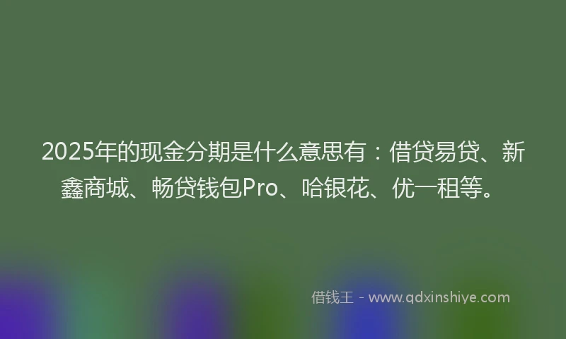 2025年的现金分期是什么意思有：借贷易贷、新鑫商城、畅贷钱包Pro、哈银花、优一租等。