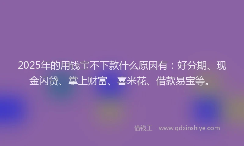 2025年的用钱宝不下款什么原因有：好分期、现金闪贷、掌上财富、喜米花、借款易宝等。
