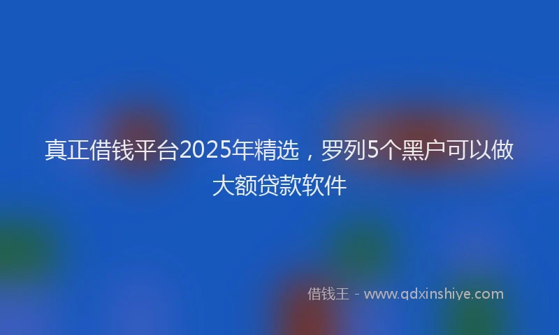 真正借钱平台2025年精选，罗列5个黑户可以做大额贷款软件