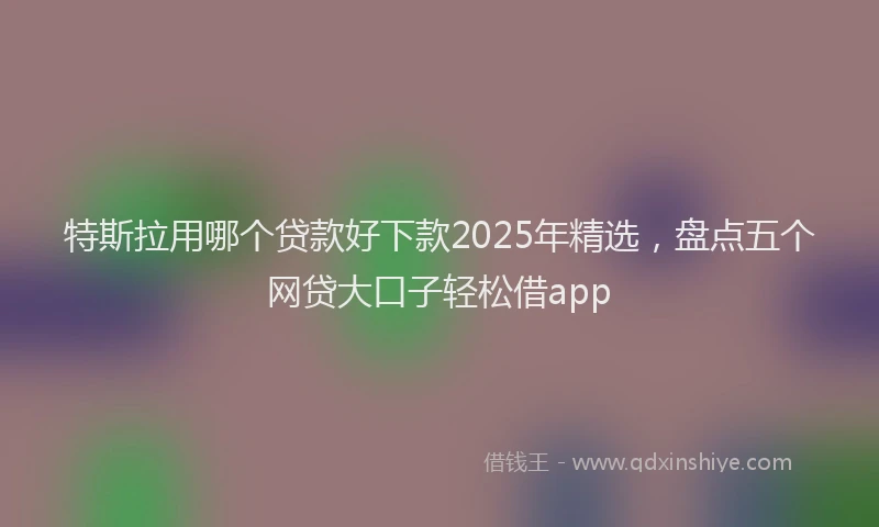 特斯拉用哪个贷款好下款2025年精选，盘点五个网贷大口子轻松借app