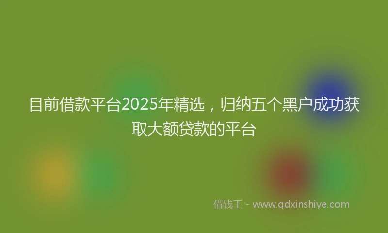 目前借款平台2025年精选，归纳五个黑户成功获取大额贷款的平台