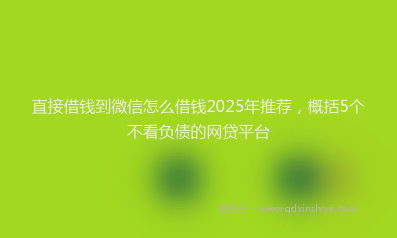 直接借钱到微信怎么借钱2025年推荐，概括5个不看负债的网贷平台