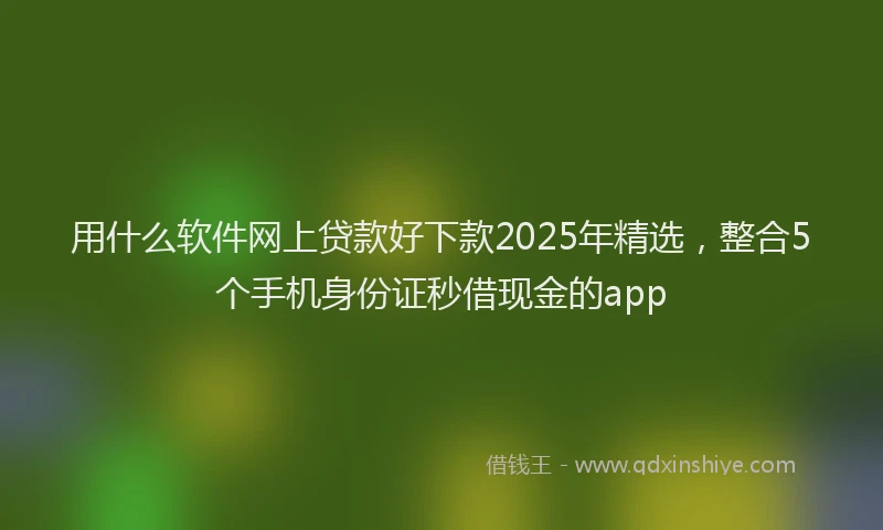 用什么软件网上贷款好下款2025年精选，整合5个手机身份证秒借现金的app