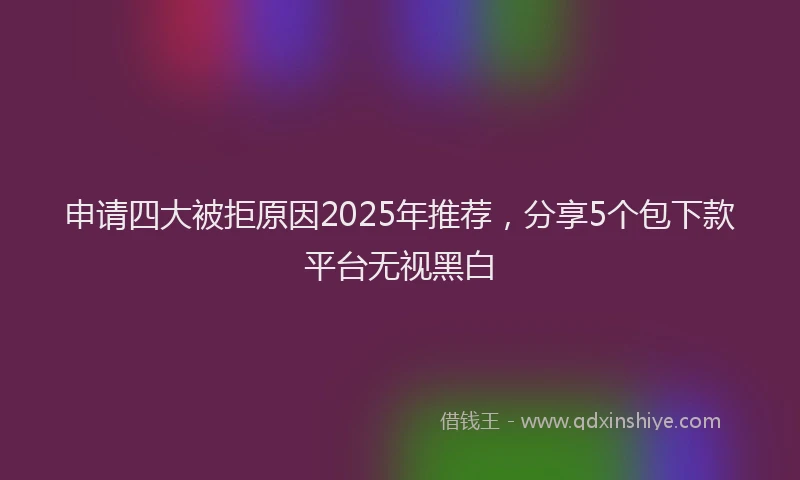 申请四大被拒原因2025年推荐，分享5个包下款平台无视黑白