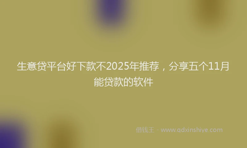 生意贷平台好下款不2025年推荐，分享五个11月能贷款的软件