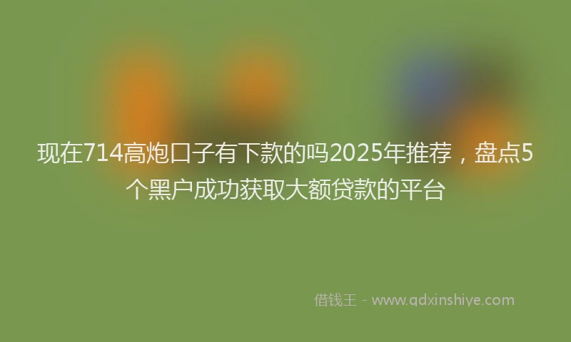 现在714高炮口子有下款的吗2025年推荐，盘点5个黑户成功获取大额贷款的平台
