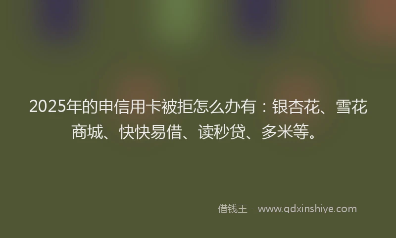2025年的申信用卡被拒怎么办有：银杏花、雪花商城、快快易借、读秒贷、多米等。