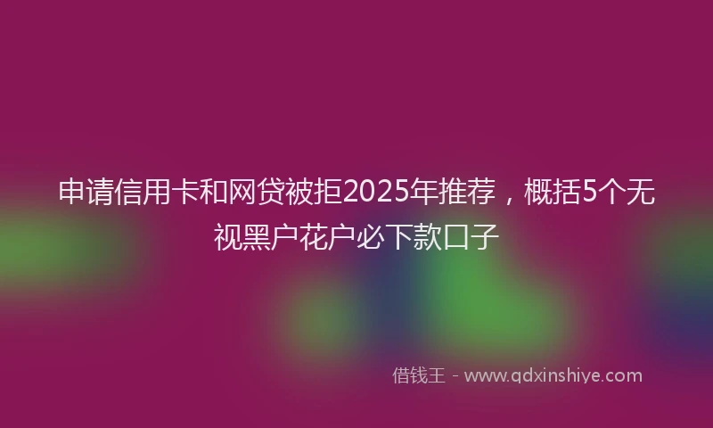 申请信用卡和网贷被拒2025年推荐，概括5个无视黑户花户必下款口子