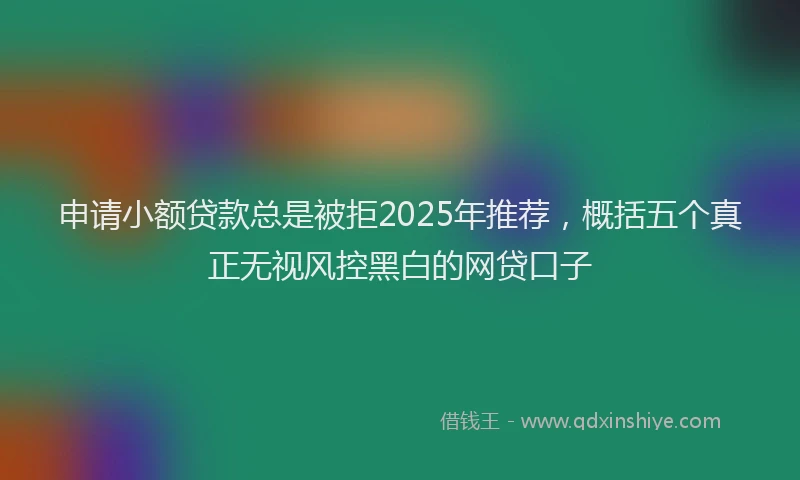 申请小额贷款总是被拒2025年推荐，概括五个真正无视风控黑白的网贷口子