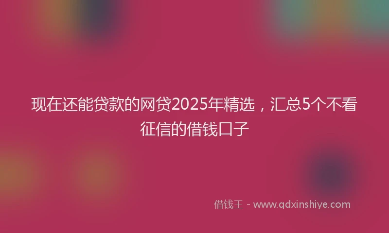 现在还能贷款的网贷2025年精选，汇总5个不看征信的借钱口子