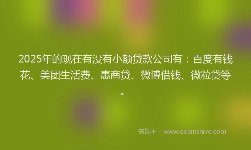 2025年的现在有没有小额贷款公司有：百度有钱花、美团生活费、惠商贷、微博借钱、微粒贷等。
