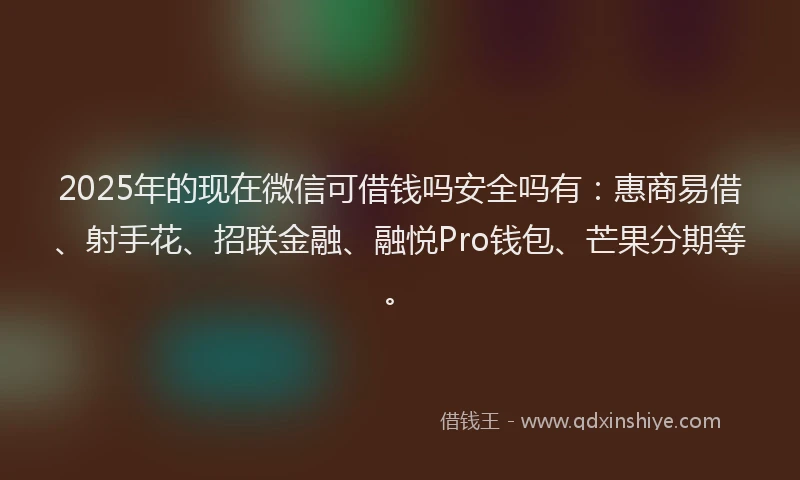 2025年的现在微信可借钱吗安全吗有：惠商易借、射手花、招联金融、融悦Pro钱包、芒果分期等。