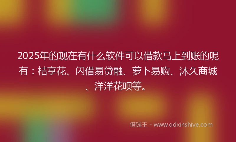 2025年的现在有什么软件可以借款马上到账的呢有：桔享花、闪借易贷融、萝卜易购、沐久商城、洋洋花呗等。