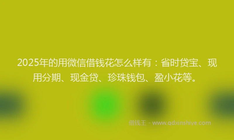 2025年的用微信借钱花怎么样有：省时贷宝、现用分期、现金贷、珍珠钱包、盈小花等。