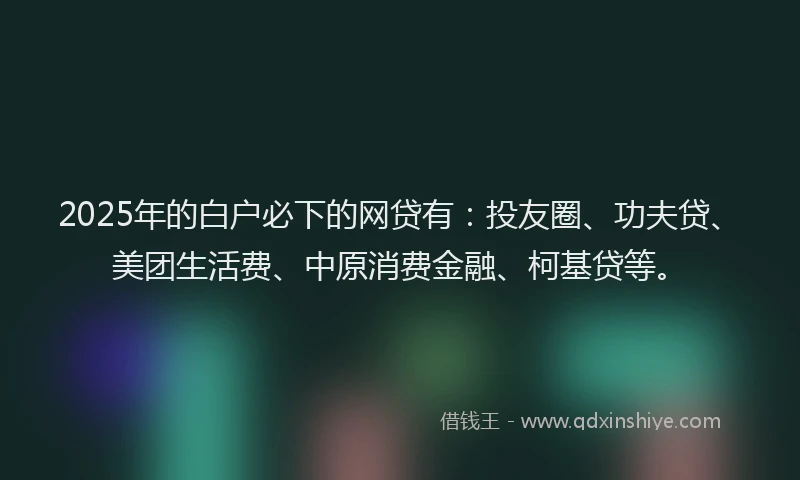 2025年的白户必下的网贷有：投友圈、功夫贷、美团生活费、中原消费金融、柯基贷等。