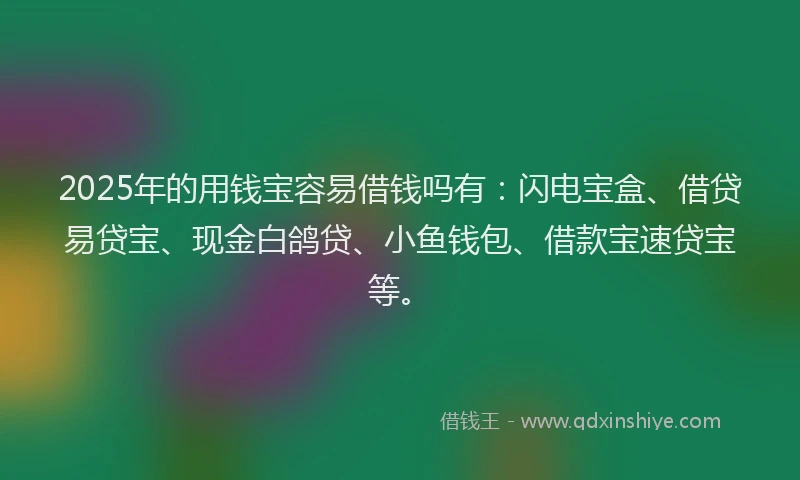 2025年的用钱宝容易借钱吗有：闪电宝盒、借贷易贷宝、现金白鸽贷、小鱼钱包、借款宝速贷宝等。