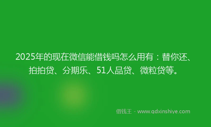 2025年的现在微信能借钱吗怎么用有：替你还、拍拍贷、分期乐、51人品贷、微粒贷等。
