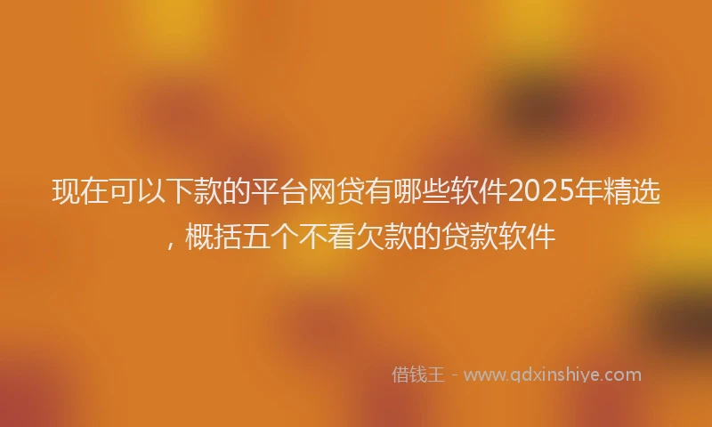 现在可以下款的平台网贷有哪些软件2025年精选，概括五个不看欠款的贷款软件