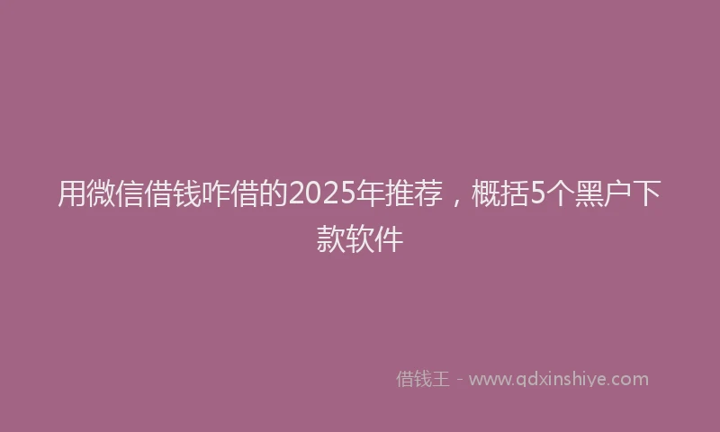 用微信借钱咋借的2025年推荐，概括5个黑户下款软件