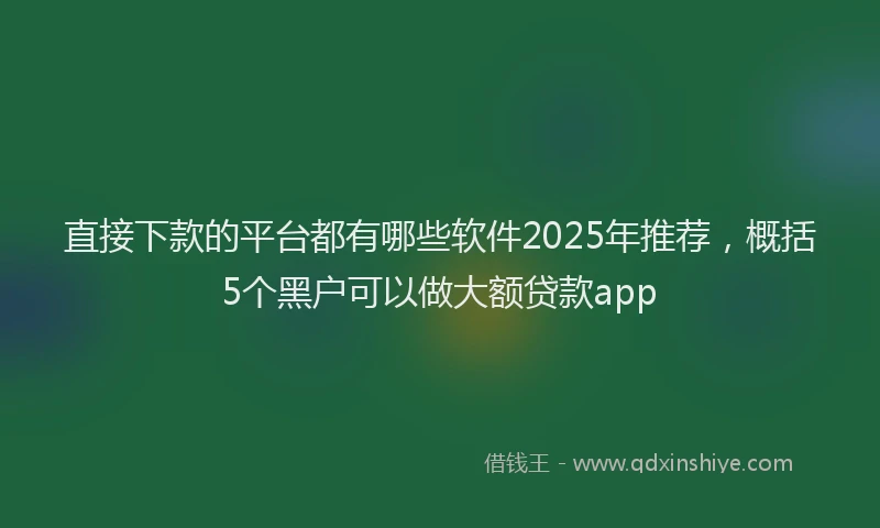 直接下款的平台都有哪些软件2025年推荐，概括5个黑户可以做大额贷款app