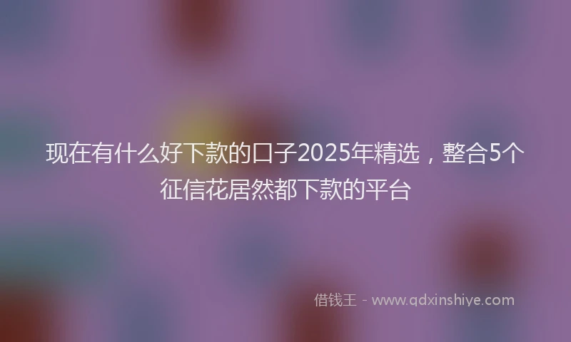 现在有什么好下款的口子2025年精选，整合5个征信花居然都下款的平台