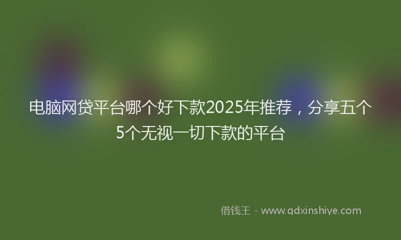 电脑网贷平台哪个好下款2025年推荐，分享五个5个无视一切下款的平台