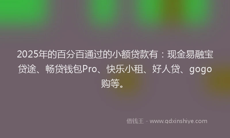 2025年的百分百通过的小额贷款有：现金易融宝贷途、畅贷钱包Pro、快乐小租、好人贷、gogo购等。