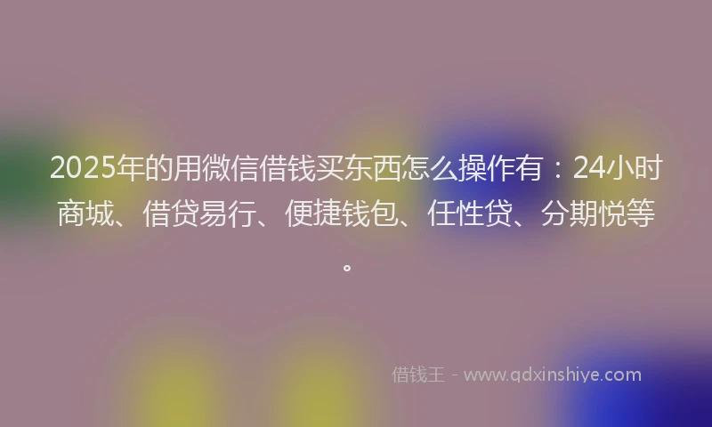 2025年的用微信借钱买东西怎么操作有：24小时商城、借贷易行、便捷钱包、任性贷、分期悦等。