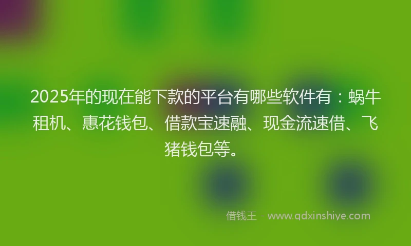 2025年的现在能下款的平台有哪些软件有：蜗牛租机、惠花钱包、借款宝速融、现金流速借、飞猪钱包等。