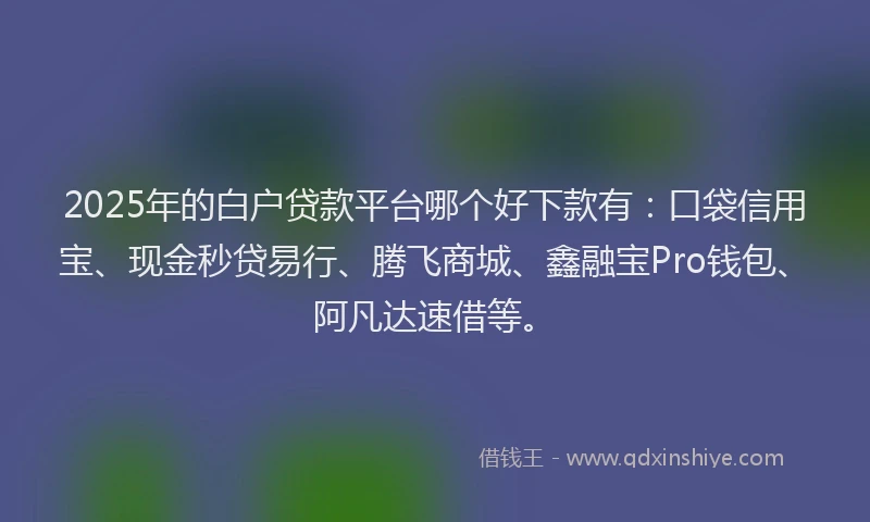 2025年的白户贷款平台哪个好下款有：口袋信用宝、现金秒贷易行、腾飞商城、鑫融宝Pro钱包、阿凡达速借等。