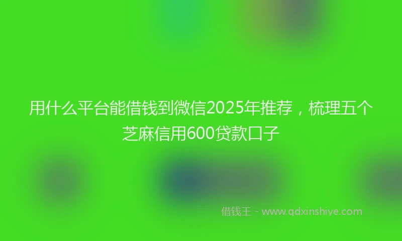 用什么平台能借钱到微信2025年推荐，梳理五个芝麻信用600贷款口子
