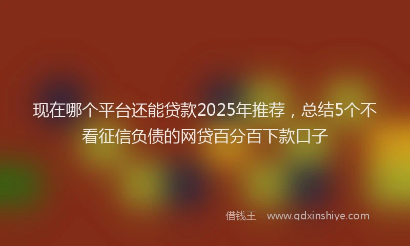 现在哪个平台还能贷款2025年推荐，总结5个不看征信负债的网贷百分百下款口子