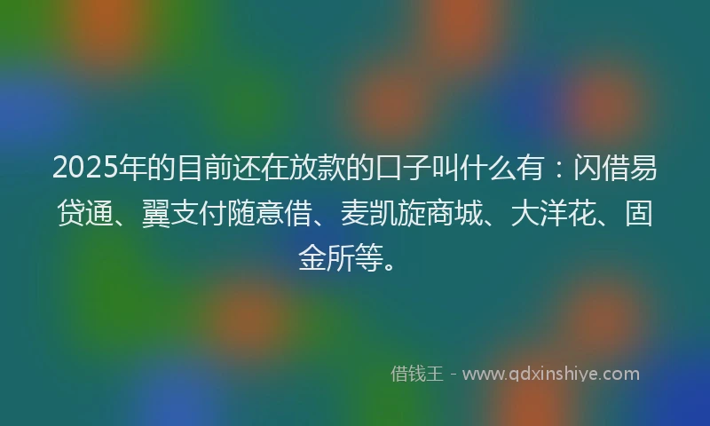 2025年的目前还在放款的口子叫什么有：闪借易贷通、翼支付随意借、麦凯旋商城、大洋花、固金所等。