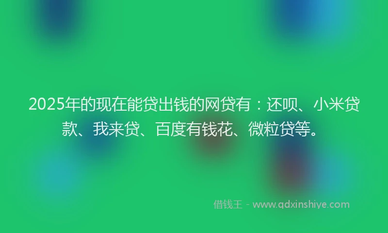 2025年的现在能贷出钱的网贷有：还呗、小米贷款、我来贷、百度有钱花、微粒贷等。