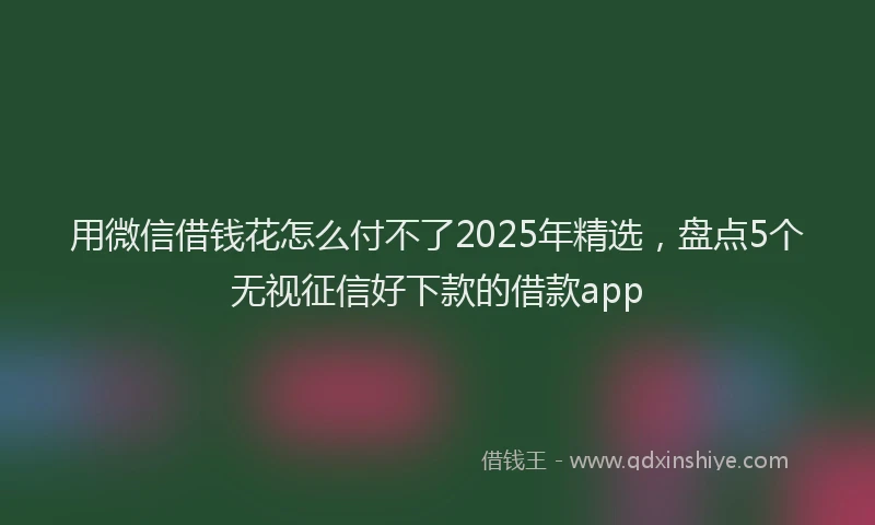 用微信借钱花怎么付不了2025年精选，盘点5个无视征信好下款的借款app
