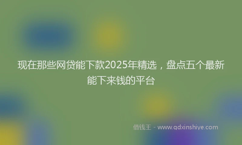 现在那些网贷能下款2025年精选，盘点五个最新能下来钱的平台