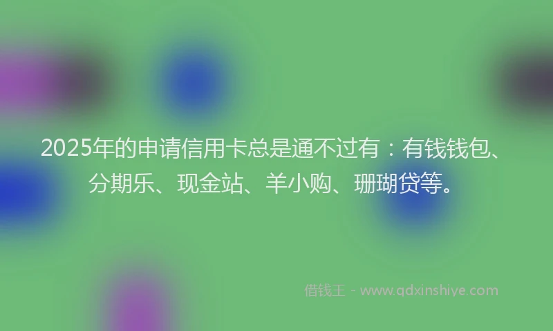 2025年的申请信用卡总是通不过有：有钱钱包、分期乐、现金站、羊小购、珊瑚贷等。