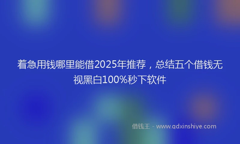 着急用钱哪里能借2025年推荐，总结五个借钱无视黑白100%秒下软件